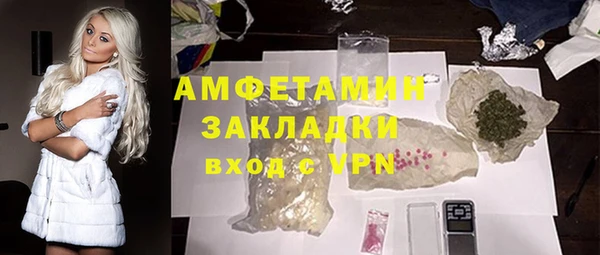 молекула духа Арсеньев
