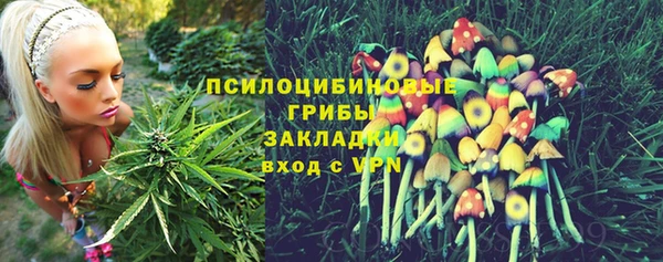 МДПВ Аркадак