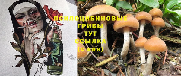молекула духа Арсеньев