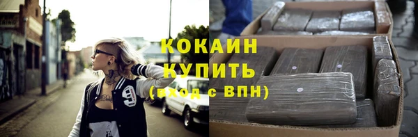 молекула духа Арсеньев