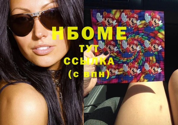 молекула духа Арсеньев
