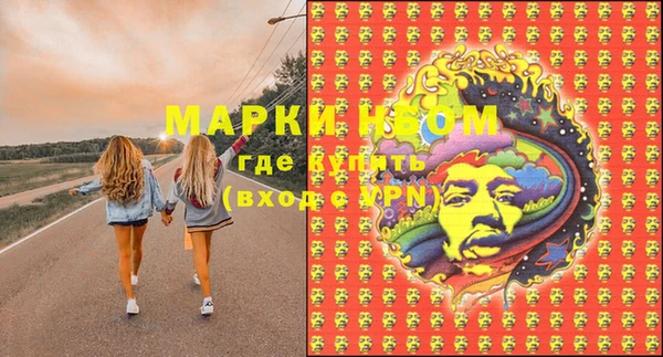 молекула духа Арсеньев