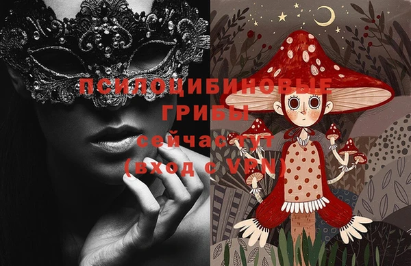 МДПВ Аркадак