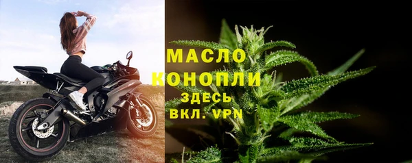 молекула духа Арсеньев